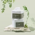 cica houttuynia tea tree mask 2