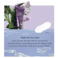 mizon hand and foot creams 2