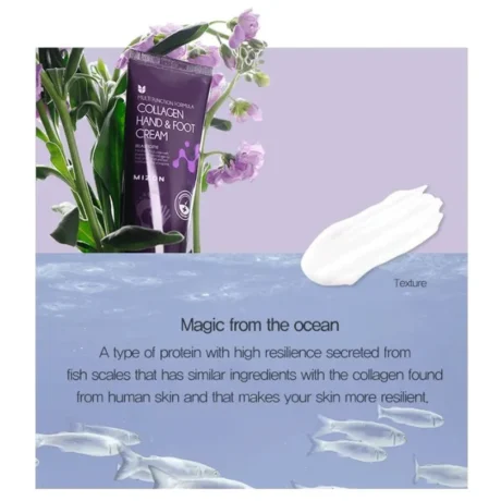 mizon hand and foot creams 2