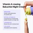 vitamin a mazing bakuchiol night cream 3