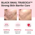 truecica line