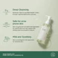 anua-cleanser-heartleaf-pore-control-cleansing-oil-200ml-42097259512086