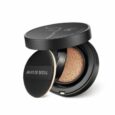 wink foundation pact