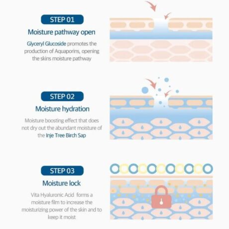 birch tone up sunscreen 3