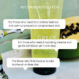 green papaya cleanser 9