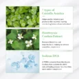 green tea fresh sunscreen 5