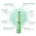 scalp scaling shampoo 300 4