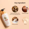 Oriental-Conditioner 05