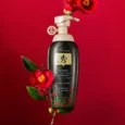 dlae soo hair loss care treatment 2