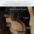 algae therapy mineral shampoo 04