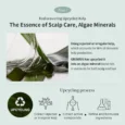 algae therapy mineral shampoo 06