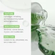 exosome cica ampoule 10
