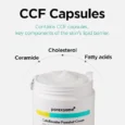 porexsome collabooster cream 6