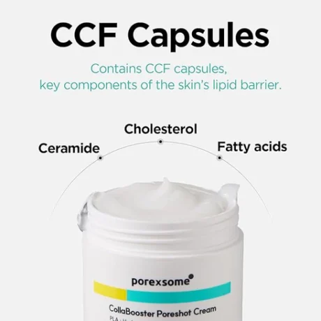 porexsome collabooster cream 6
