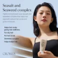 sea salt scapl scaler 03