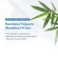 aquamarinecream 3