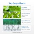 aquamarinecream 5
