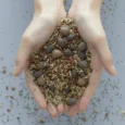vital treatment 9 essential seeds 05