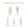 damage therapy hair milk 15