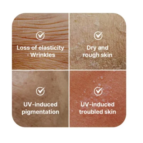 id Solar Defence Daily Clear 365 Sun Emulsion. 5